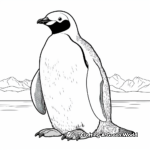 Detailed Emperor Penguin Coloring Pages 2