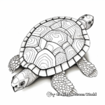 Detailed Geometric Pattern Turtle Shell Coloring Pages 1