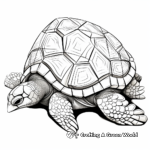 Detailed Geometric Pattern Turtle Shell Coloring Pages 4