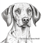 Detailed German Shorthaired Pointer Coloring Pages for Adults 1