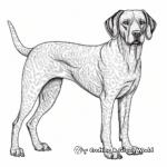 Detailed German Shorthaired Pointer Coloring Pages for Adults 4