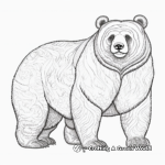 Detailed Giant Panda Coloring Pages for Adults 2