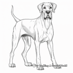 Detailed Great Dane Coloring Pages for Adults 1