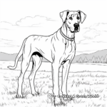 Detailed Great Dane Coloring Pages for Adults 4