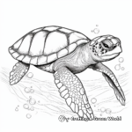 Detailed Green Sea Turtle Coloring Pages 2
