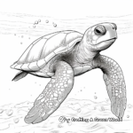 Detailed Green Sea Turtle Coloring Pages 3