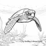 Detailed Green Sea Turtle Coloring Pages 4