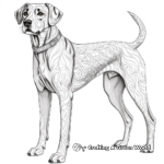 Detailed Greyhound Coloring Pages for Adults 2