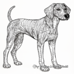 Detailed Greyhound Coloring Pages for Adults 4