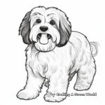Detailed Havanese Dog Coloring Pages for Adults 2