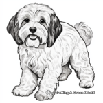 Detailed Havanese Dog Coloring Pages for Adults 4