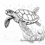 Detailed Hawksbill Sea Turtle Coloring Sheets 2