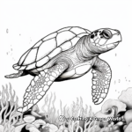 Detailed Hawksbill Sea Turtle Coloring Sheets 3
