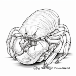 Detailed Hermit Crab Anatomy Coloring Pages for Adults 2