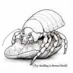 Detailed Hermit Crab Anatomy Coloring Pages for Adults 3