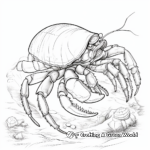 Detailed Hermit Crab Anatomy Coloring Pages for Adults 4