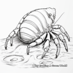 Detailed Hermit Crab Shell Coloring Pages 1