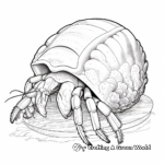 Detailed Hermit Crab Shell Coloring Pages 3