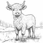 Detailed Highland Cow in Pasture Coloring Page 2