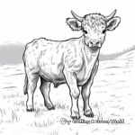 Detailed Highland Cow in Pasture Coloring Page 4