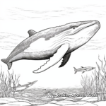 Detailed Humpback Whale Coloring Pages for Adults 3