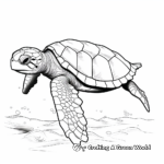 Detailed Kemp's Ridley Sea Turtle Coloring Pages for Adults 2