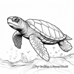 Detailed Kemp's Ridley Sea Turtle Coloring Pages for Adults 3