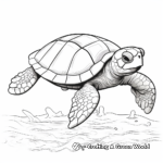 Detailed Kemp's Ridley Sea Turtle Coloring Pages for Adults 4