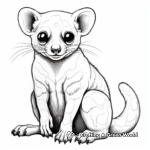 Detailed Kinkajou Coloring Pages for Adults 2