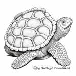 Detailed Leatherback Turtle Shell Coloring Pages 3