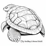 Detailed Leatherback Turtle Shell Coloring Pages 4