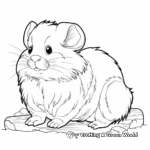 Detailed Long-Haired Hamster Coloring Pages 3