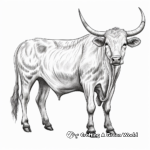Detailed Longhorn Cow Coloring Pages for Adults 1