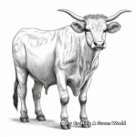Detailed Longhorn Cow Coloring Pages for Adults 2