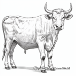 Detailed Longhorn Cow Coloring Pages for Adults 3