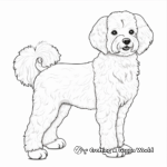 Detailed Maltipoo Profile Coloring Pages for Adults 1