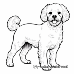 Detailed Maltipoo Profile Coloring Pages for Adults 2