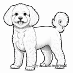 Detailed Maltipoo Profile Coloring Pages for Adults 3