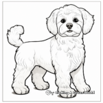 Detailed Maltipoo Profile Coloring Pages for Adults 4
