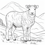 Detailed Mountain Sheep Coloring Pages for Adults 1