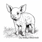 Detailed Piglet Coloring Pages for Adults 1