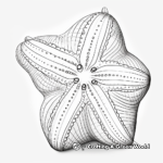 Detailed Pincushion Starfish Coloring Pages for Adults 2