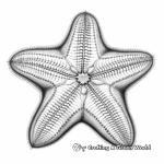 Detailed Pincushion Starfish Coloring Pages for Adults 4