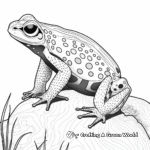 Detailed Poison Dart Frog Coloring Pages for Adults 3