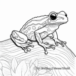 Detailed Poison Dart Frog Coloring Pages for Adults 4