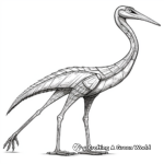 Detailed Quetzalcoatlus Anatomy Coloring Pages 3