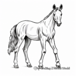 Detailed Racing Foal Coloring Pages for Horse Racing Fans 1