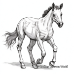 Detailed Racing Foal Coloring Pages for Horse Racing Fans 4