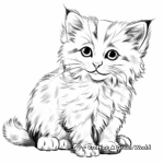 Detailed Ragdoll Kitten Coloring Pages 2