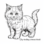 Detailed Ragdoll Kitten Coloring Pages 3